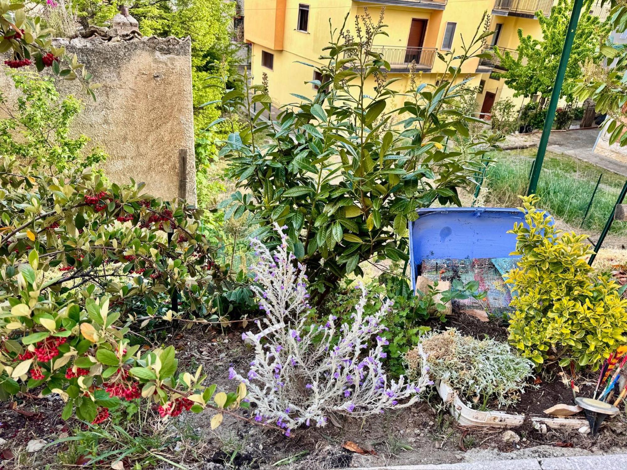 La Casa Dell'Artista Di Vittorio Vertone Pietragalla Exterior photo